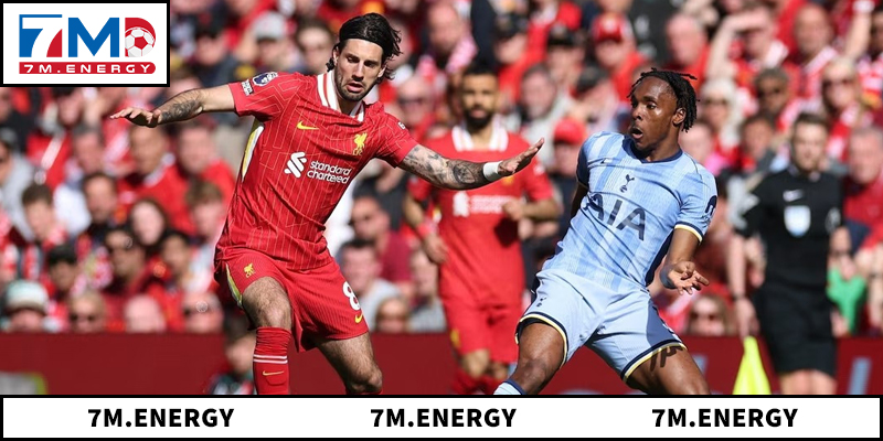 Khám phá sức hút của trận đấu Liverpool vs Tottenham